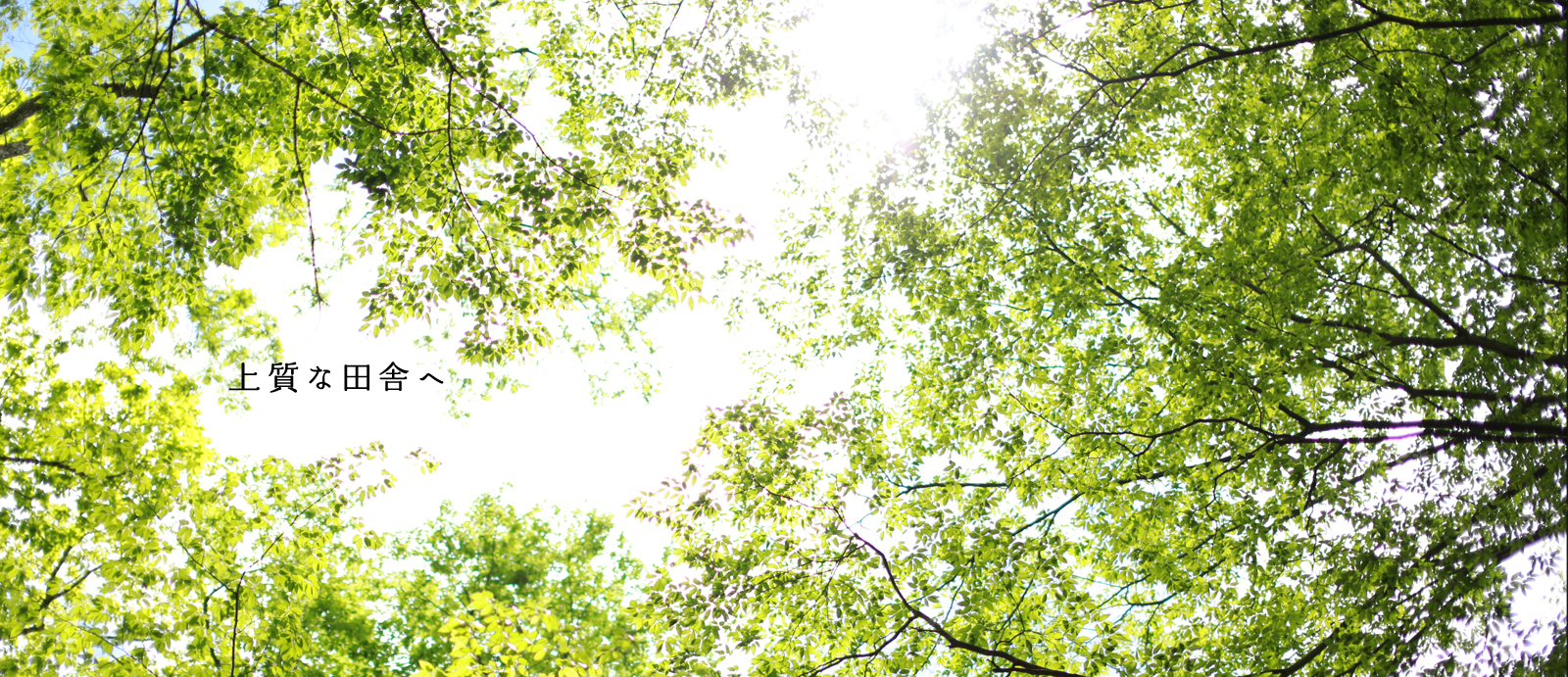 西粟倉村役場 西粟倉村：百年の森林に囲まれた 快適で人が輝く自然と交流のむら