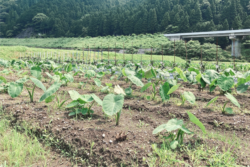 ふるさと納税 岡山県 西粟倉村 ＜D-154F3 価格比較