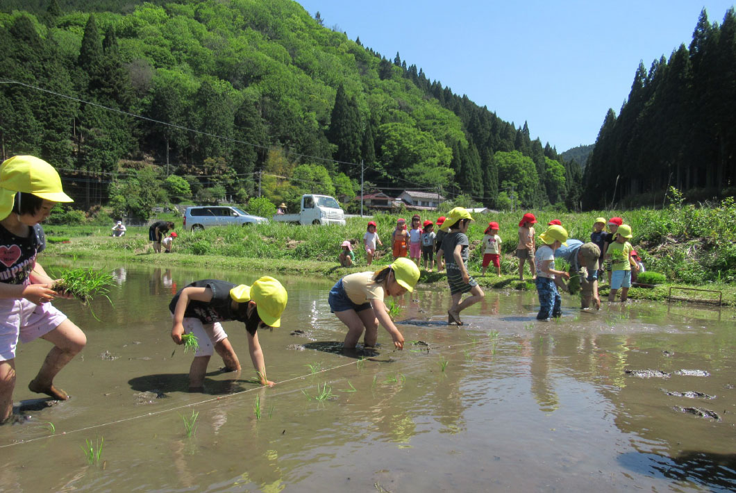 ふるさと納税 岡山県 西粟倉村 ＜D-26W2 価格比較