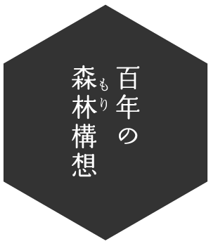 百年の森林構想