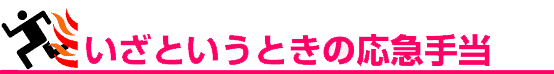 いざというときの応急手当ロゴ