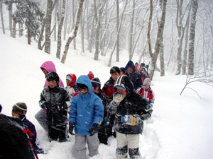 雪中行軍の写真