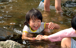 川遊びの写真