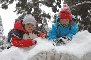 雪上の一時の写真