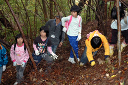 まつたけ発見か？の写真