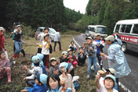 松茸の大きさを比べている写真